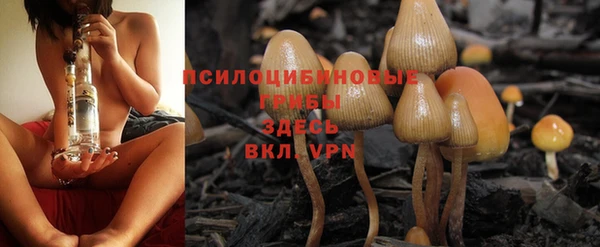 Альфа ПВП Арсеньев