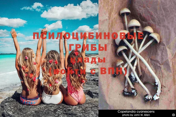 Альфа ПВП Арсеньев