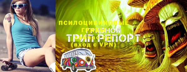 Альфа ПВП Арсеньев