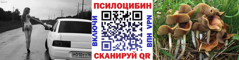 Галлюциногенные грибы MAGIC MUSHROOMS Суровикино